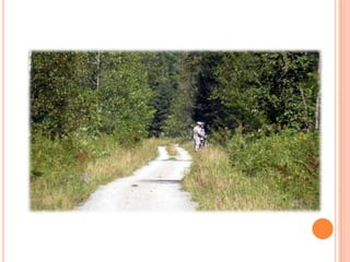 Sentier Nature Tomifobia