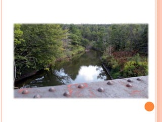 Sentier Nature Tomifobia