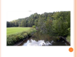 Sentier Nature Tomifobia