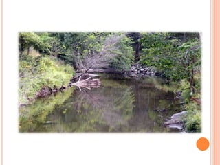 Sentier Nature Tomifobia