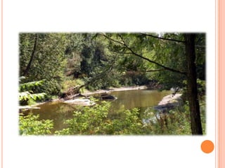 Sentier Nature Tomifobia