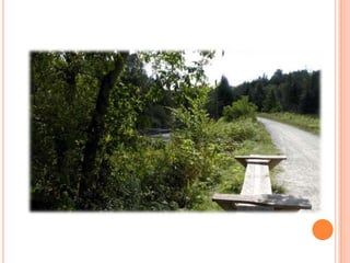 Sentier Nature Tomifobia