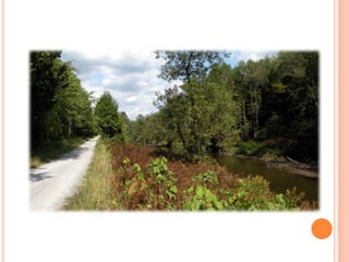 Sentier Nature Tomifobia