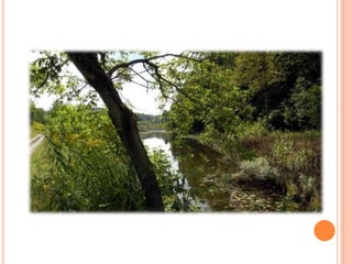 Sentier Nature Tomifobia