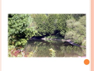 Sentier Nature Tomifobia