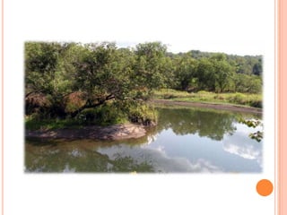 Sentier Nature Tomifobia