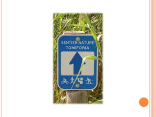Sentier Nature Tomifobia