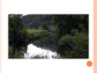 Sentier Nature Tomifobia