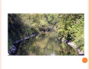 Sentier Nature Tomifobia