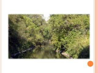 Sentier Nature Tomifobia