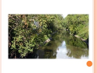 Sentier Nature Tomifobia