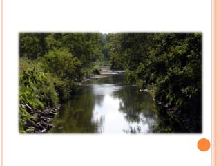 Sentier Nature Tomifobia