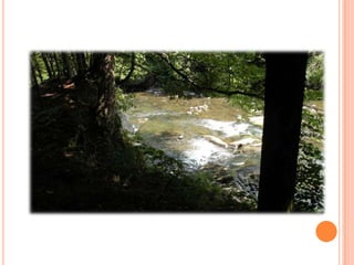 Sentier Nature Tomifobia