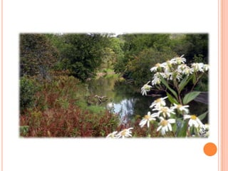 Sentier Nature Tomifobia