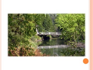 Sentier Nature Tomifobia