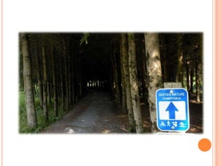 Sentier Nature Tomifobia