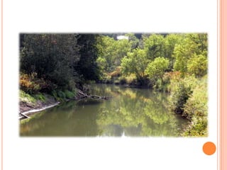 Sentier Nature Tomifobia