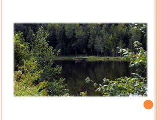 Sentier Nature Tomifobia