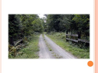 Sentier Nature Tomifobia