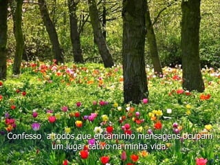 Confesso  a todos que encaminho mensagens ocupam um lugar cativo na minha vida. 