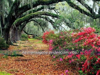 As mensagens evidenciam vida.As mensagens evidenciam vida.
 