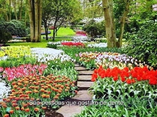 São pessoas que gostam de gente.São pessoas que gostam de gente.
 