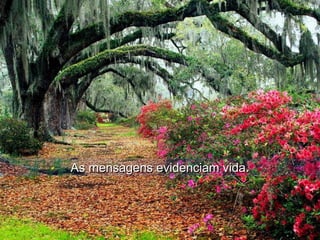 As mensagens evidenciam vida.As mensagens evidenciam vida.
 