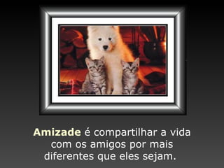 Amizade   é compartilhar a vida com os amigos por mais diferentes que eles sejam.  