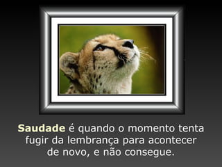 Saudade   é quando o momento   tenta fugir   da lembrança   para acontecer de novo, e não consegue. 