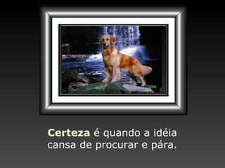 Certeza   é quando a idéia cansa de procurar e pára. 