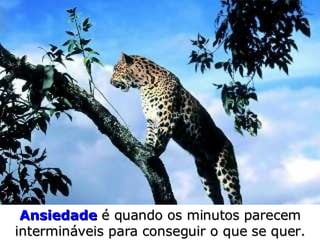 Ansiedade   é quando os minutos  parecem intermináveis para conseguir o que se quer. 