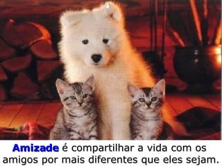 Amizade  é compartilhar a vida com os  amigos por mais diferentes que eles sejam.  