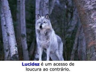 Lucidez   é um acesso de loucura ao contrário. 