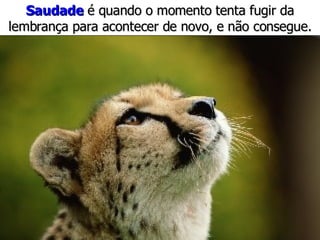 Saudade   é quando o momento   tenta fugir   da lembrança   para acontecer de novo, e não consegue. 