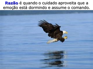 Razão  é quando o cuidado   aproveita que a emoção   está dormindo e assume   o comando. 