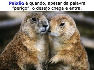 Paixão  é quando, apesar   da palavra  ” perigo” ,  o desejo chega e entra. 