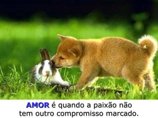 AMOR   é quando a paixão   não tem outro compromisso   marcado. 