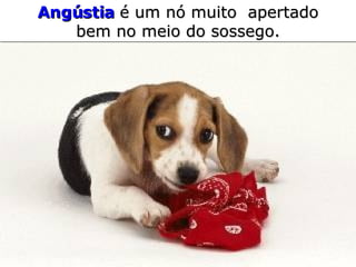 Angústia   é um nó muito  apertado bem no meio do sossego. 