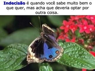 Indecisão   é quando   você sabe muito bem o que quer,   mas acha que deveria optar  por  outra coisa.  