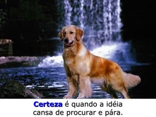 Certeza   é quando a idéia cansa de procurar e pára. 