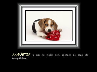 ANGÚSTIA   é um nó muito bem apertado no meio da tranquilidade. 
