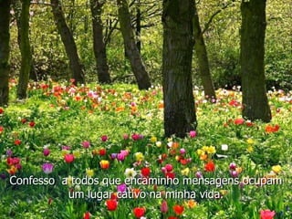 Confesso a todos que encaminho mensagens ocupam
          um lugar cativo na minha vida.
 