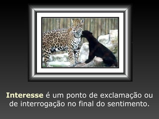 Interesse   é um ponto de   exclamação ou de interrogação   no final do sentimento. 