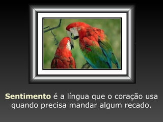 Sentimento   é a língua que o   coração usa quando precisa   mandar algum recado. 