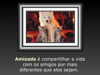 Amizade   é compartilhar a vida com os amigos por mais diferentes que eles sejam.  