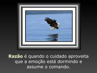 Razão   é quando o cuidado   aproveita que a emoção   está dormindo e assume   o comando. 