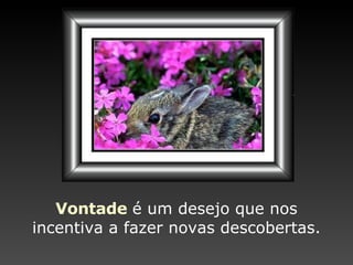 Vontade   é um desejo que  nos incentiva a fazer novas descobertas. 