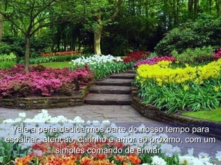 Vale a pena dedicarmos parte do nosso tempo paraVale a pena dedicarmos parte do nosso tempo para
espalhar atenção, carinho e amor ao próximo, com umespalhar atenção, carinho e amor ao próximo, com um
simples comando de enviar.simples comando de enviar.
 