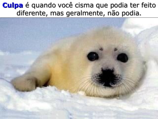 Culpa   é quando você  c isma   que podia ter  f eito   diferente,  m as geralmente,   não podia. 