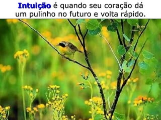 Intuição  é quando seu coração dá um pulinho no futuro e volta rápido. 